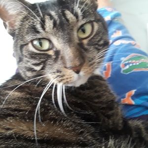 Meet your Posher, Susan